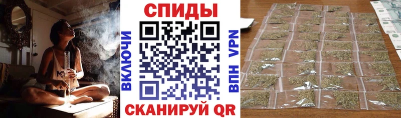 блэк спрут зеркало  Пушкино  Бутират оксана 
