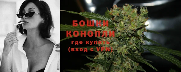 спайс Карпинск