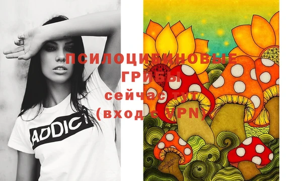 спайс Карпинск