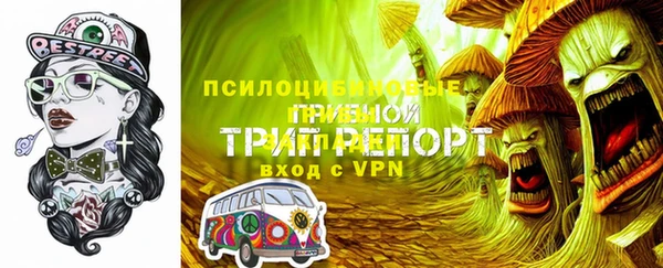 спайс Карпинск