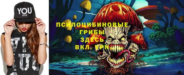 спайс Карпинск