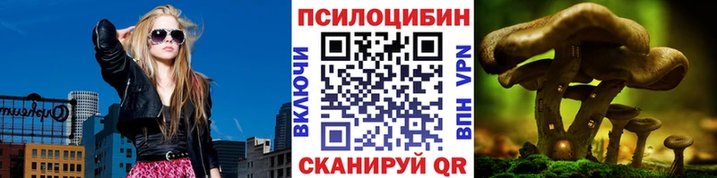 Галлюциногенные грибы Cubensis  купить закладку  Пушкино 